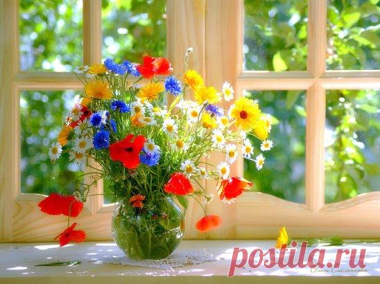 Пусть день начнется ...уютно...Радости и счастья всем...