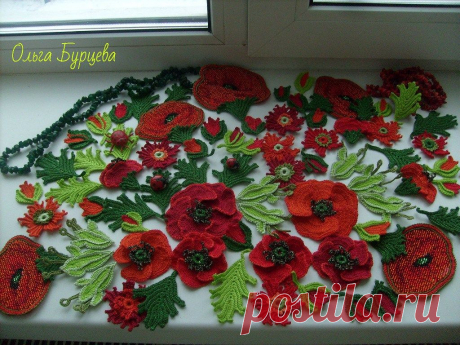 Ирландия