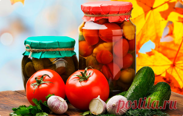 Что лучше: заморозка, засолка или сушка продуктов на зиму?