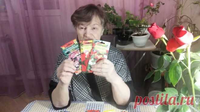 Какие семена цветов пора сеять в декабре Некоторые цветочные растения имеют довольно длительный период развития от всходов до цветения, поэтому их раньше всех и высевают. О том, какие семена уже мож...