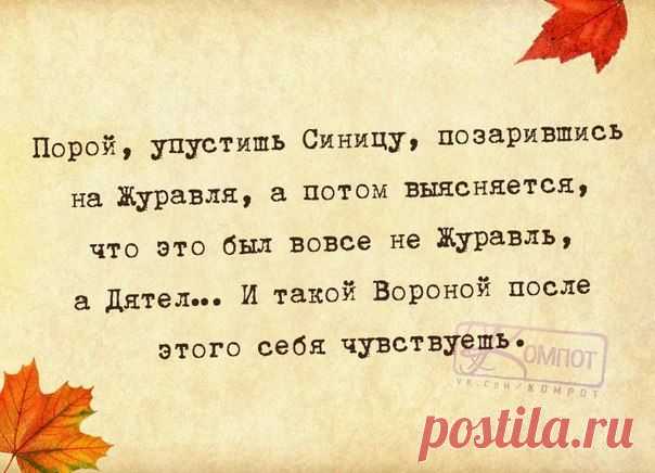 ХА-ХАтунчики))