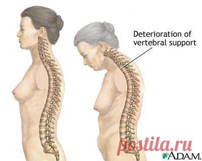 силовые упражнения, как панацея от старости :): meet2fit007