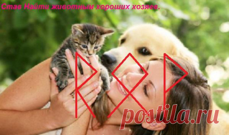 Став Найти животным хороших хозяев. Автор milohka - Тонкий Мир - Эзотерический форум - магия, гороскопы, гадания, заговоры, привороты, сонники, астрология, нумерология