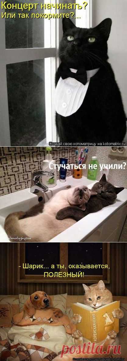 Держитесь крепко, вирус смеха идет к ВАМ!!!Смейтесь до слез!!!Всем хорошего настроения!!!