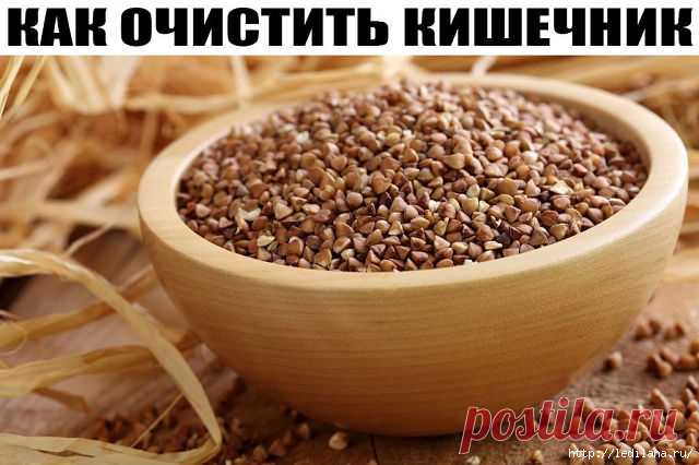 ГРЕЧКА СТРАШНЫЙ ВРАГ ЖИРА