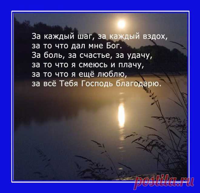 Нина - просмотр фотоальбома "Мои фотографии"