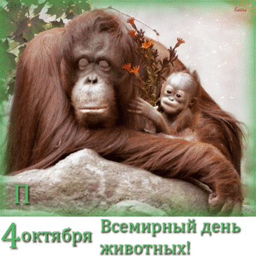 Сегодня Всемирный день животных. Пусть наши братья меньшие всегда будут под нашей защитой и опекой, пусть они не попадают в Красную Книгу из года в год, пусть фауна развивается и процветает, пусть наши любимцы дарят нам любовь и нежность. Открытки на День защиты животных.