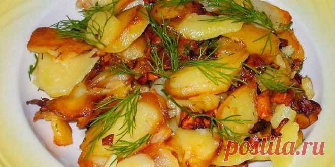 Замороженные грибы с картошкой в духовке - BookCooks.ru