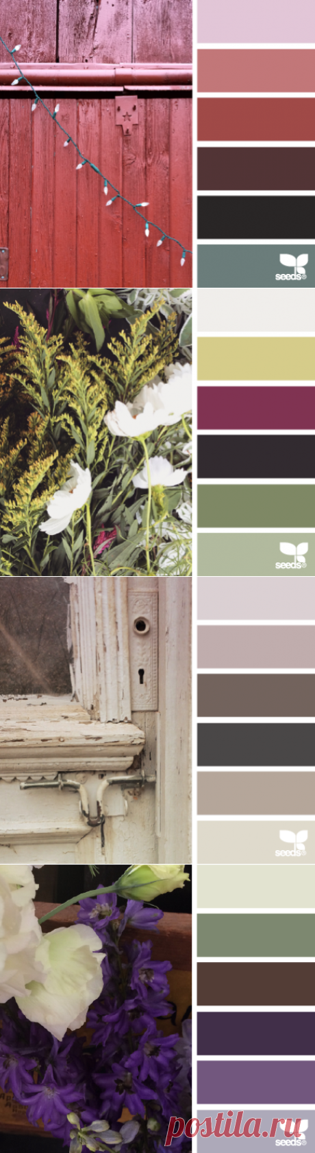 design seeds | for all who ♥ color