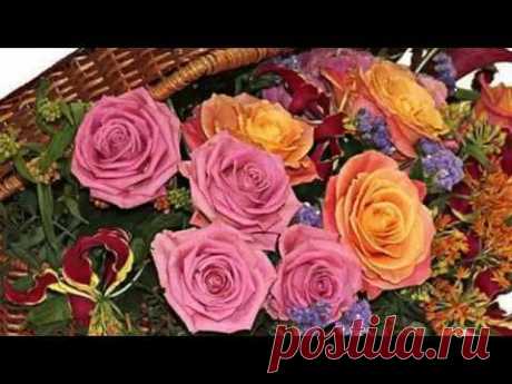 Цветы.Часто мы не замечаем красоты, Что подарена самой природой нам! - YouTube