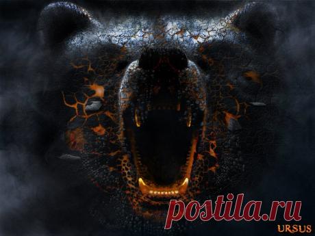 Россия -- Большая Медведица !