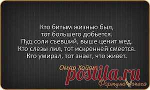 Мысли вслух