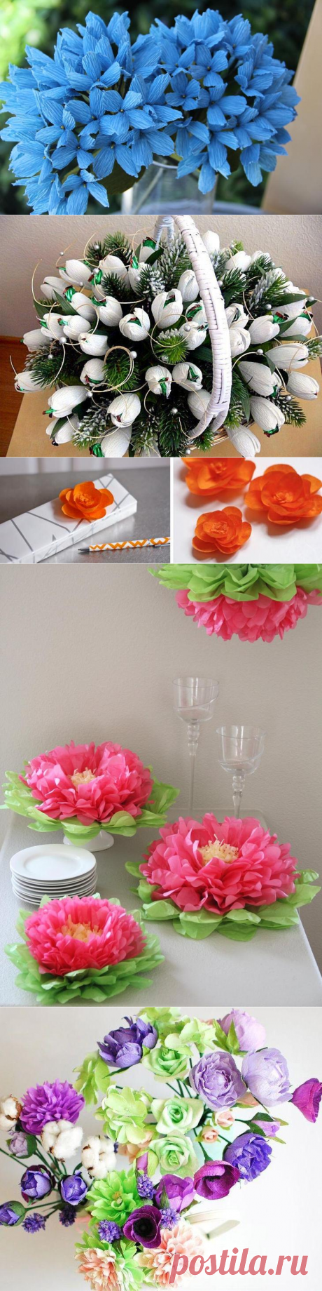 Как сделать цветы из бумаги своими руками: мастер-классы и фото готовых шедевров