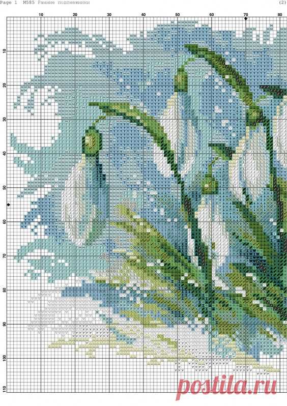 (3) Pinterest