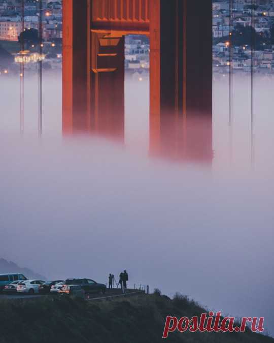 (7) Tumblr