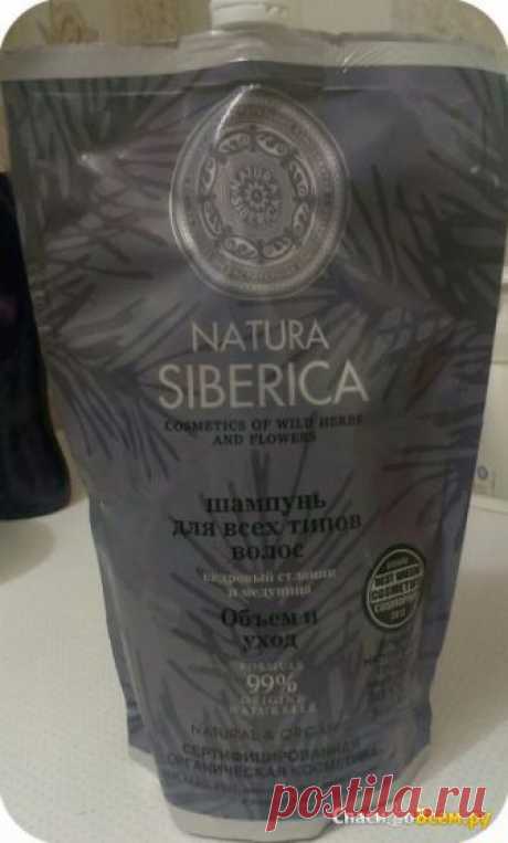 Отзыв про Шампунь Natura Siberica "Объем и уход" Кедровый стланик и медуница для всех типов волос: "Шампунь, вызывающий сухость и зуд кожи головы" | Дата отзыва: 2017-09-04 22:19:10