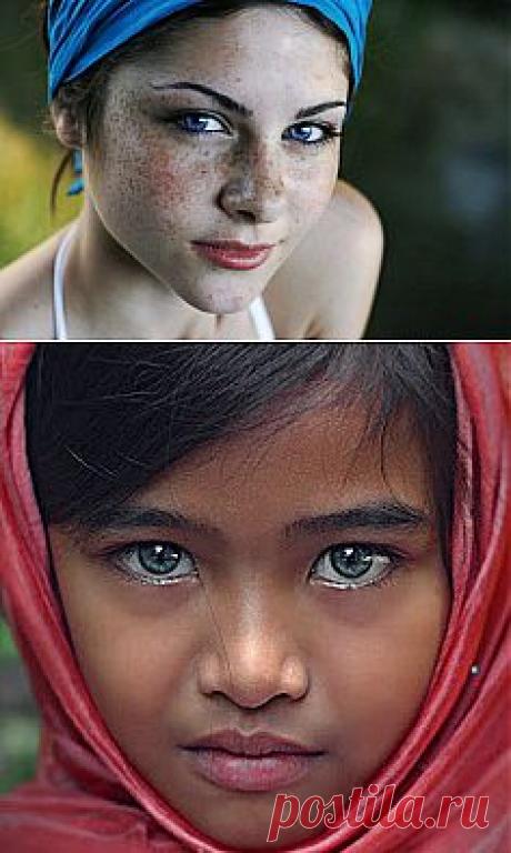 Laura Morgan приколол(а) это к доске Windows to the Soul