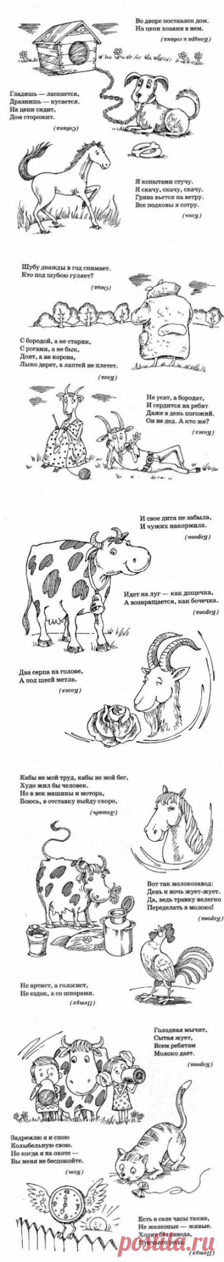 Загадки про животных - Поделки с детьми | Деткиподелки