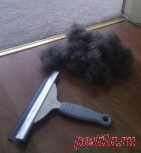 Простые, но эффективные советы по уборке в доме