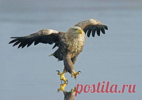 Фотографии на стене сообщества | 8 672 фотографии | ВКонтакте