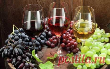 Как сделать виноградное вино из винограда в домашних условиях