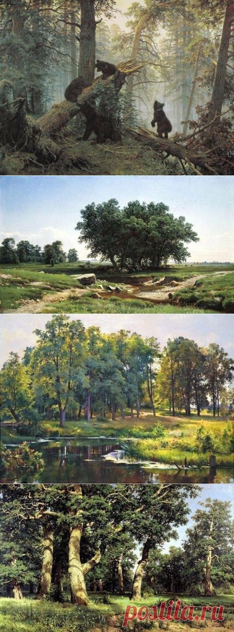 Красота русской природы в работах Ивана Ивановича Шишкина (1832—1898) - Путешествуем вместе