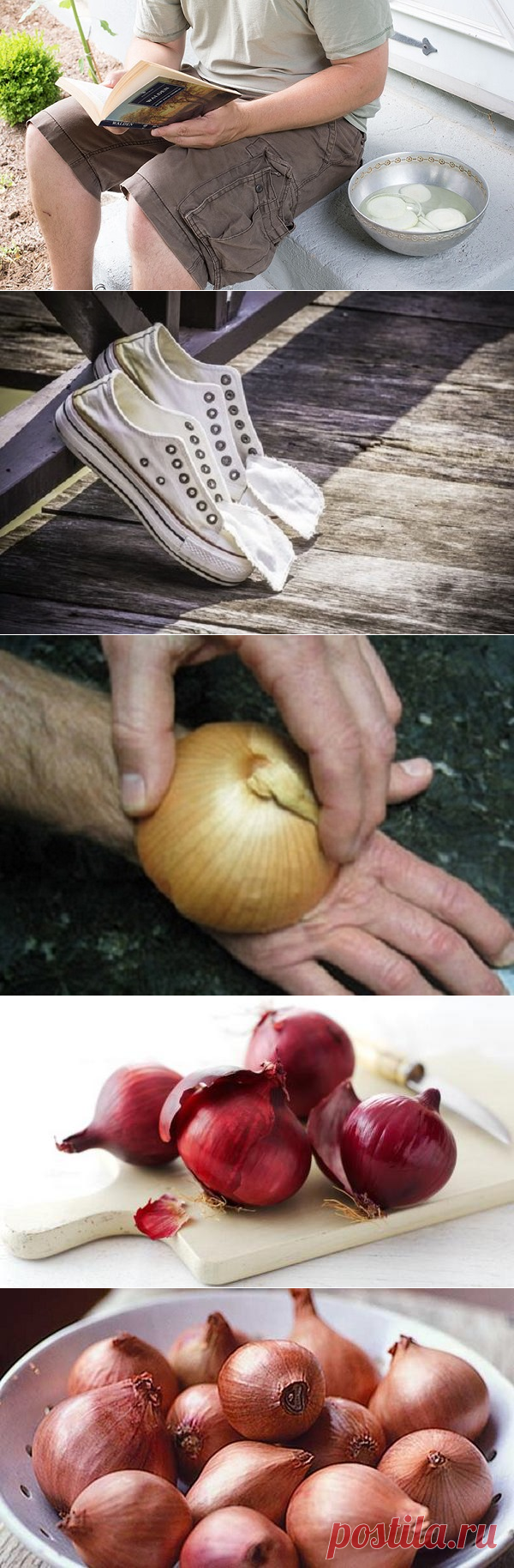 Только 3 из 100 хозяек знают этот лайфхак! Оказывается лук...