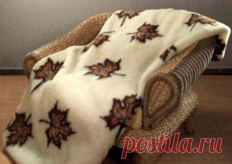 (+1) тема - Как выбрать качественный плед | Полезные советы