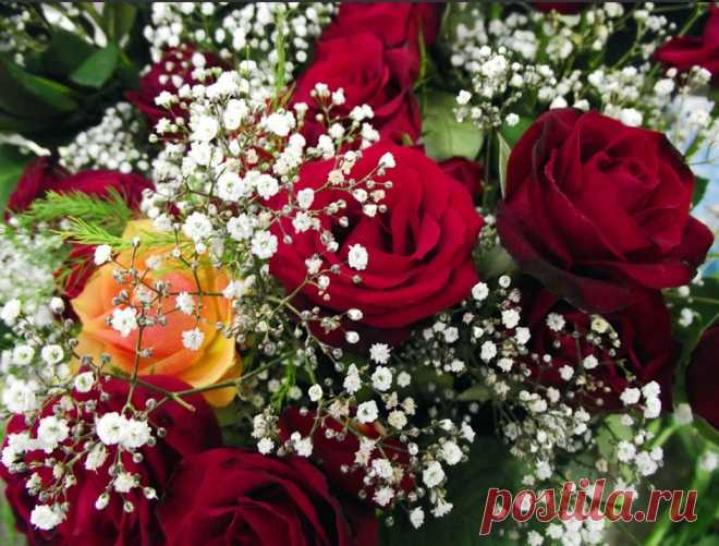 Букет из роз