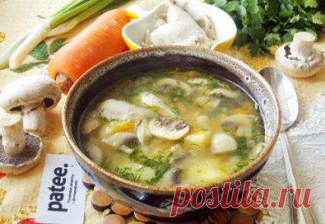 Куриный суп с пшеном и грибами | Вкус жизни
