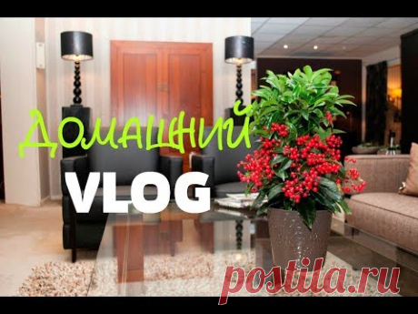 ВЛОГ/VLOG ДОМАШНИЙ ✦ ПОКУПКИ для ВОЛОС, для ДОМА✦ЛЕДОХОД✦МНОГО РАССАДЫ - YouTube