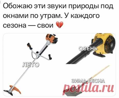 Выпуск №6696 - выпуск анекдотов сайта вокруг смеха