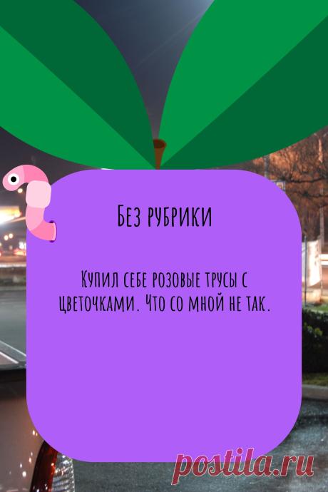 Цитата про «Без рубрики» — Купил себе розовые трусы с цветочками. Что со…