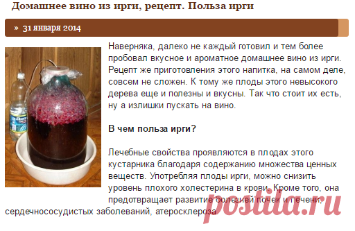 Домашнее вино из ирги, рецепт. Польза ирги » Домашняя копилка