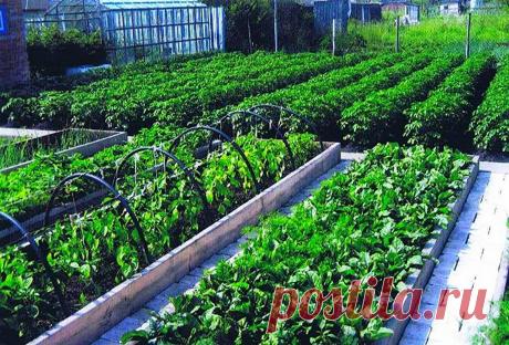 грядки короба - Поиск в Google