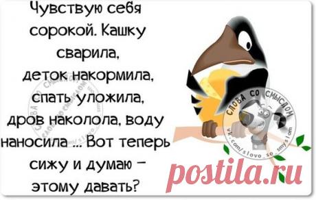 Картинки с юмором: прикольные надписи и фразы | В темпі життя