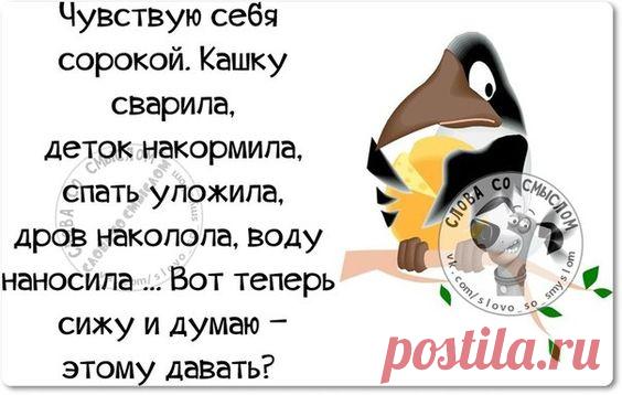 Картинки с юмором: прикольные надписи и фразы | В темпі життя