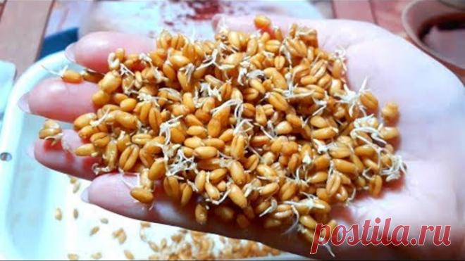 7 дней - и ты можешь выпрыгнуть из штанов! Живые ферменты, которые легко получить дома.