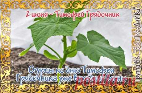 Пускай жизнь всегда будет наполнена смыслом, тело — здоровьем, ум — идеями, сердце — любовью, душа — радостью, а глаза — счастьем. Поздравляю!