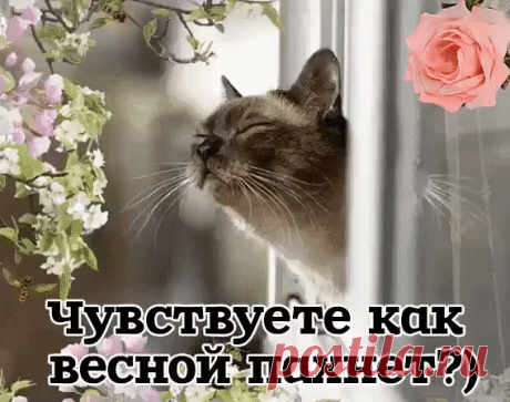 (69) Одноклассники