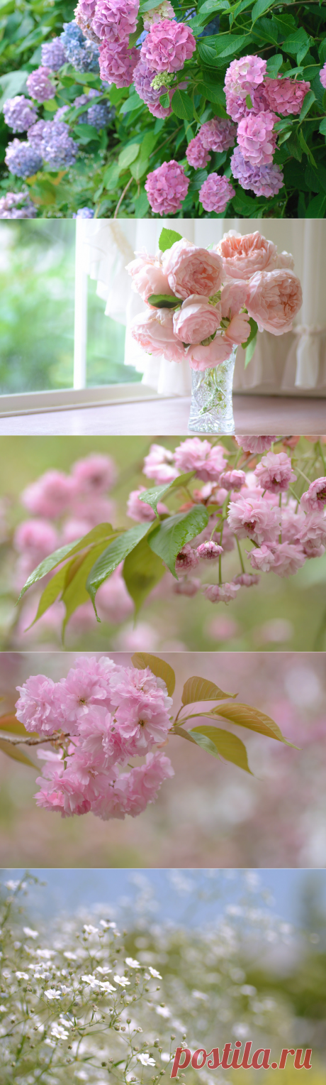 Распахните окна и двери … впустите Весну в ваши сердца ….