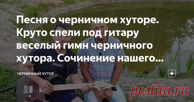Песня о черничном хуторе. Круто спели под гитару веселый гимн черничного хутора. Сочинение нашего подписчика
