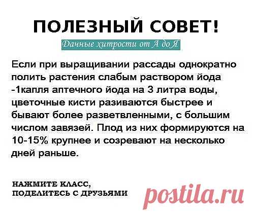 ОЧЕНЬ РЕДКО ВСТРЕТИШЬ ТАКИЕ СОВЕТЫ