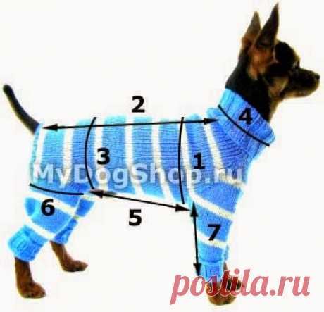 tru-knitting: Комбинезон для собаки.
