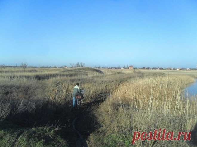 Кубань зимняя... с велосипедом - 14 Ноября 2015 - Персональный сайт