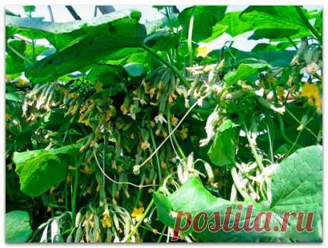 * * * * * * * * * * * *