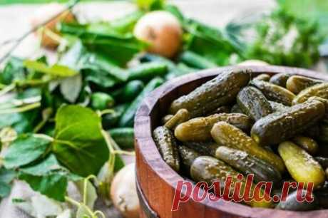 Огурцы с виноградом на зиму