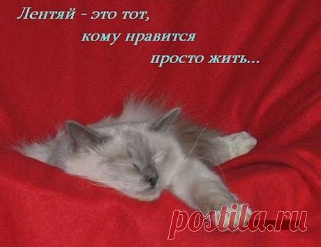 Лентяй