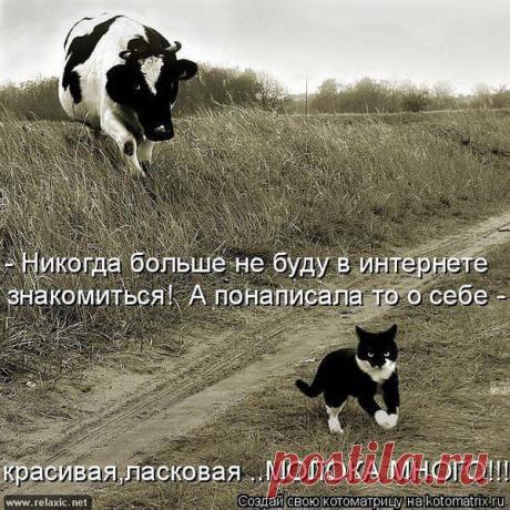Интересные новости