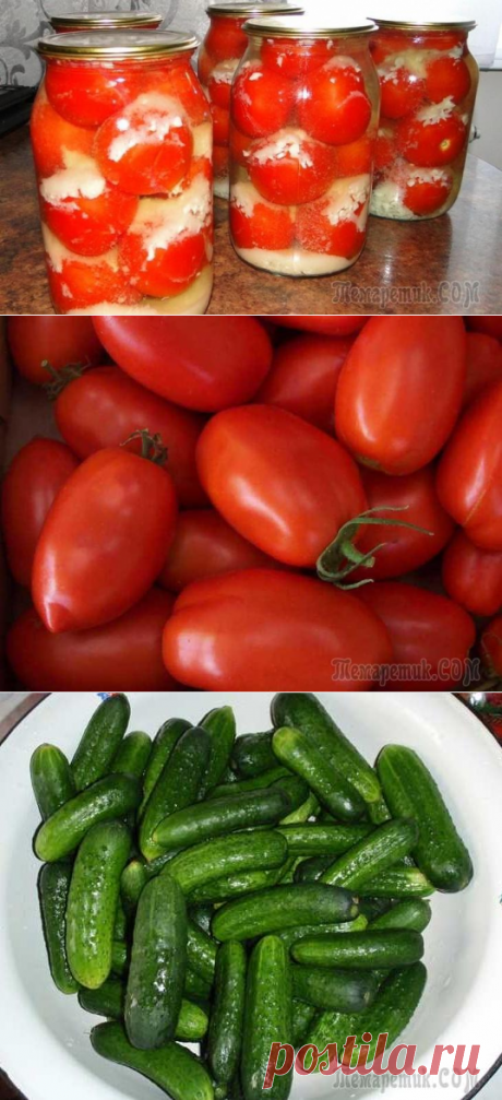Помидоры и огурцы маринованные с чесноком и сахаром